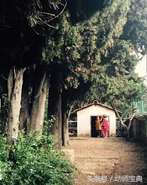 华德福幼儿园特点,华德福幼儿园的优缺点