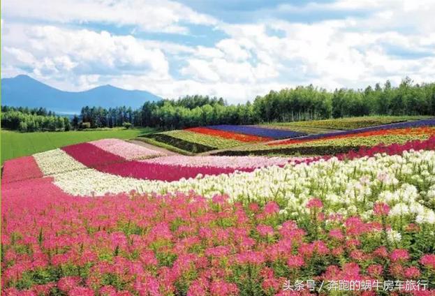 房车旅游最美游记,房车19天环岛旅游攻略