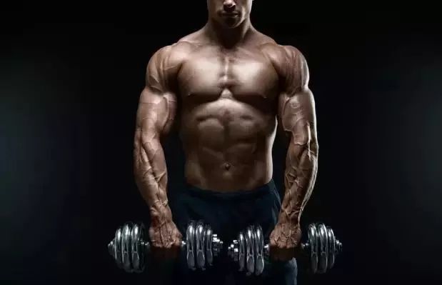 增肌不增脂的增肌粉,增肌不增脂