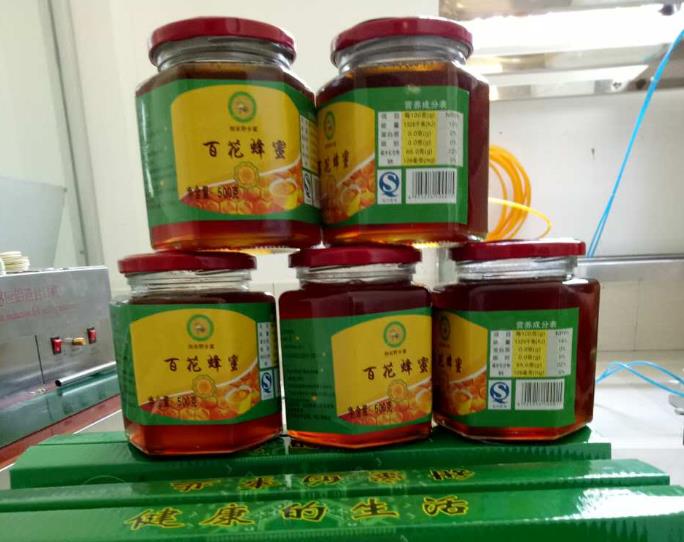 走进育才|被称为“三亚之肺”森林面积覆盖率高达69.53%有五脚猪等美食浓郁黎苗风情