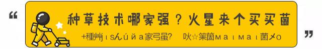 盘点坑爹的网红产品,盘点那些买了后悔的网红产品