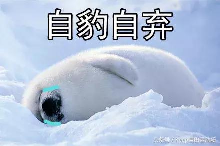 家庭版的健身计划怎么做,每日详细健身计划