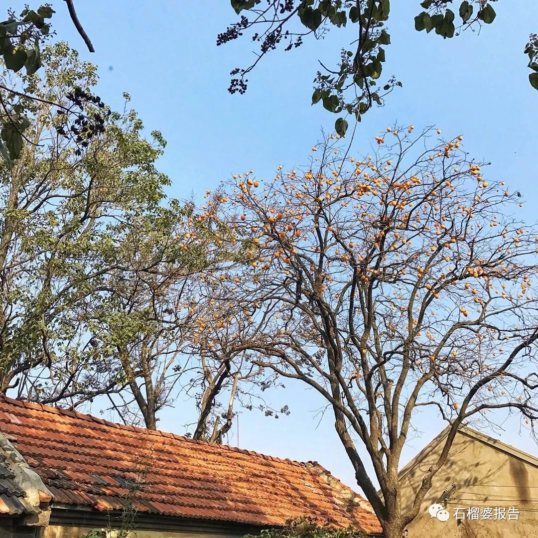 未来十年最好的一笔投资,个人十年最具潜力的投资