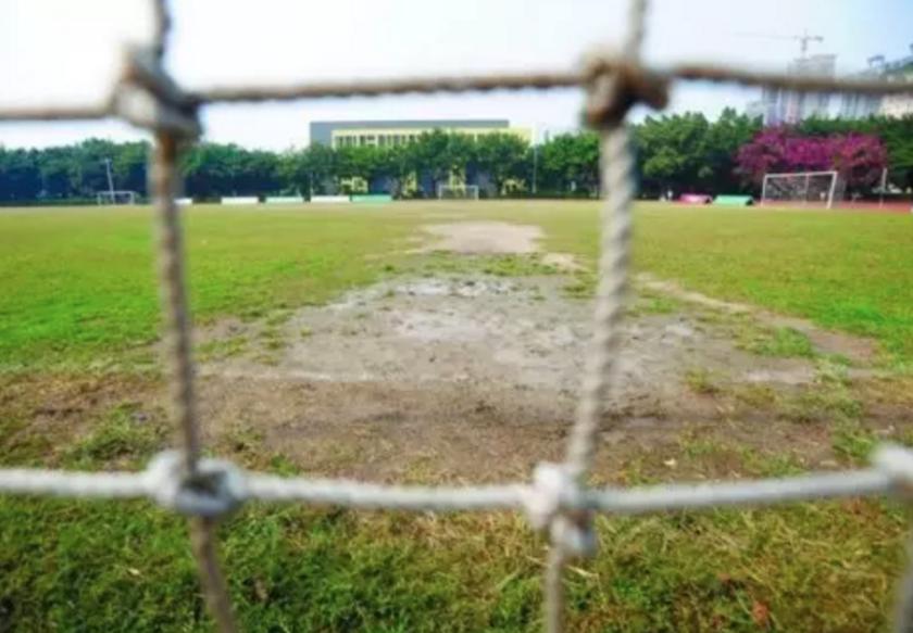 感谢你陪伴原唱视频,这一年感谢你的陪伴