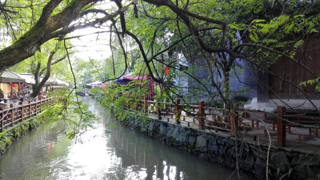 成都采草莓哪个地方最好,成都周边草莓采摘园基地