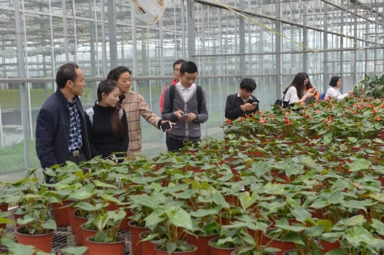 寰俊鏃呮父杈句汉,寰俊杈句汉