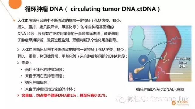 十张PPT让你轻松get“液体活检”新技术全貌!|hsmap系列