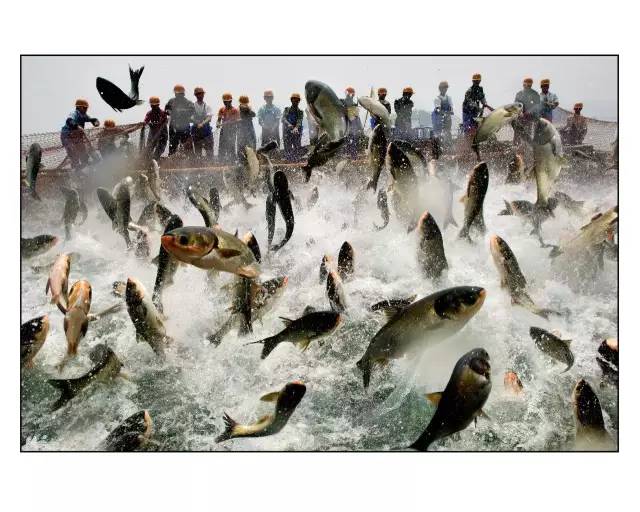 世界顶级千岛湖美食,千岛湖最有名的10道菜