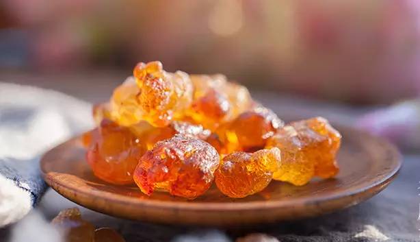 比燕窝更好的植物,比燕窝好的植物