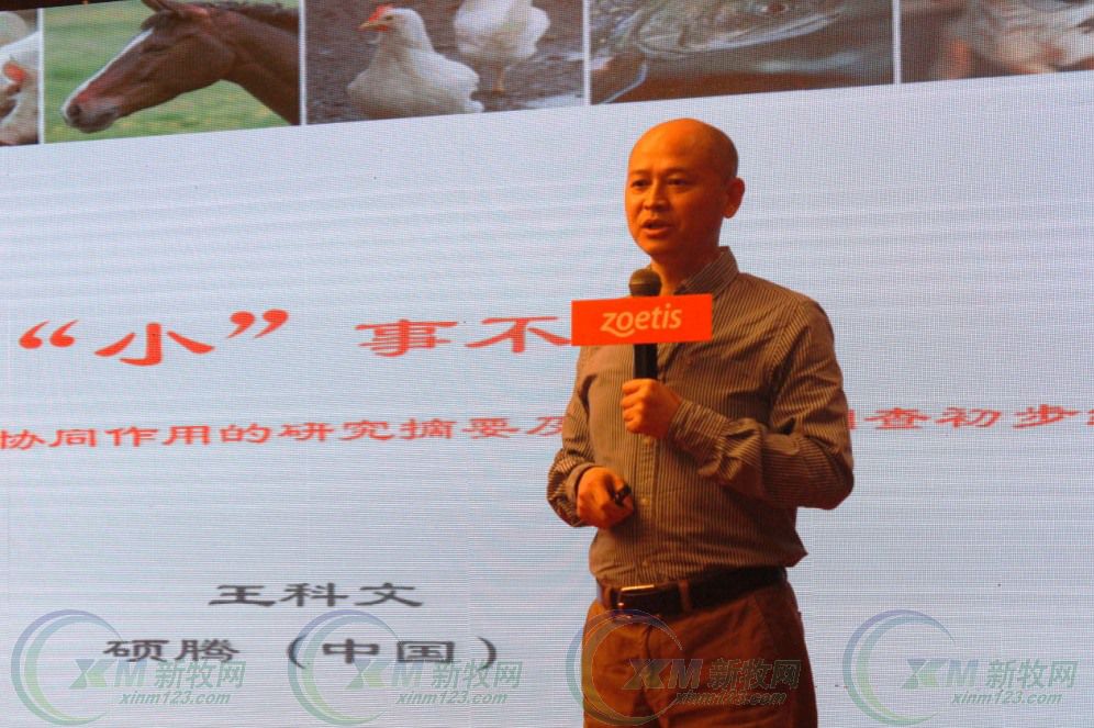 硕腾圆环疫苗,硕腾疫苗多少钱