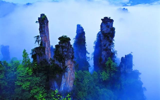 2018上半年，据说会玩的人都在合适的时间去这些美腻的地方了！