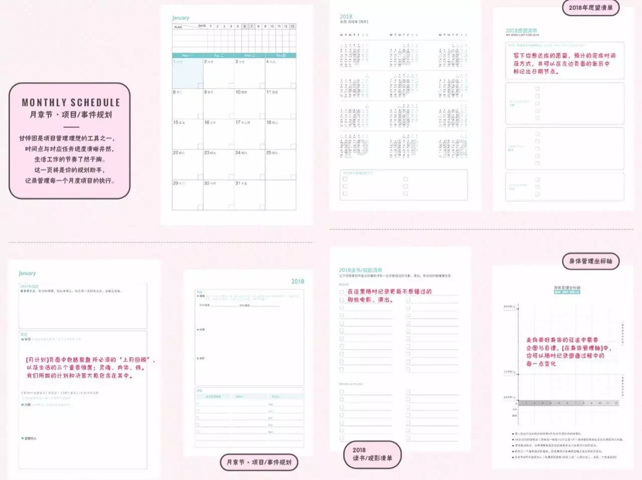 芭搭Pick｜2017，我为支付宝贡献的最带感的单品！