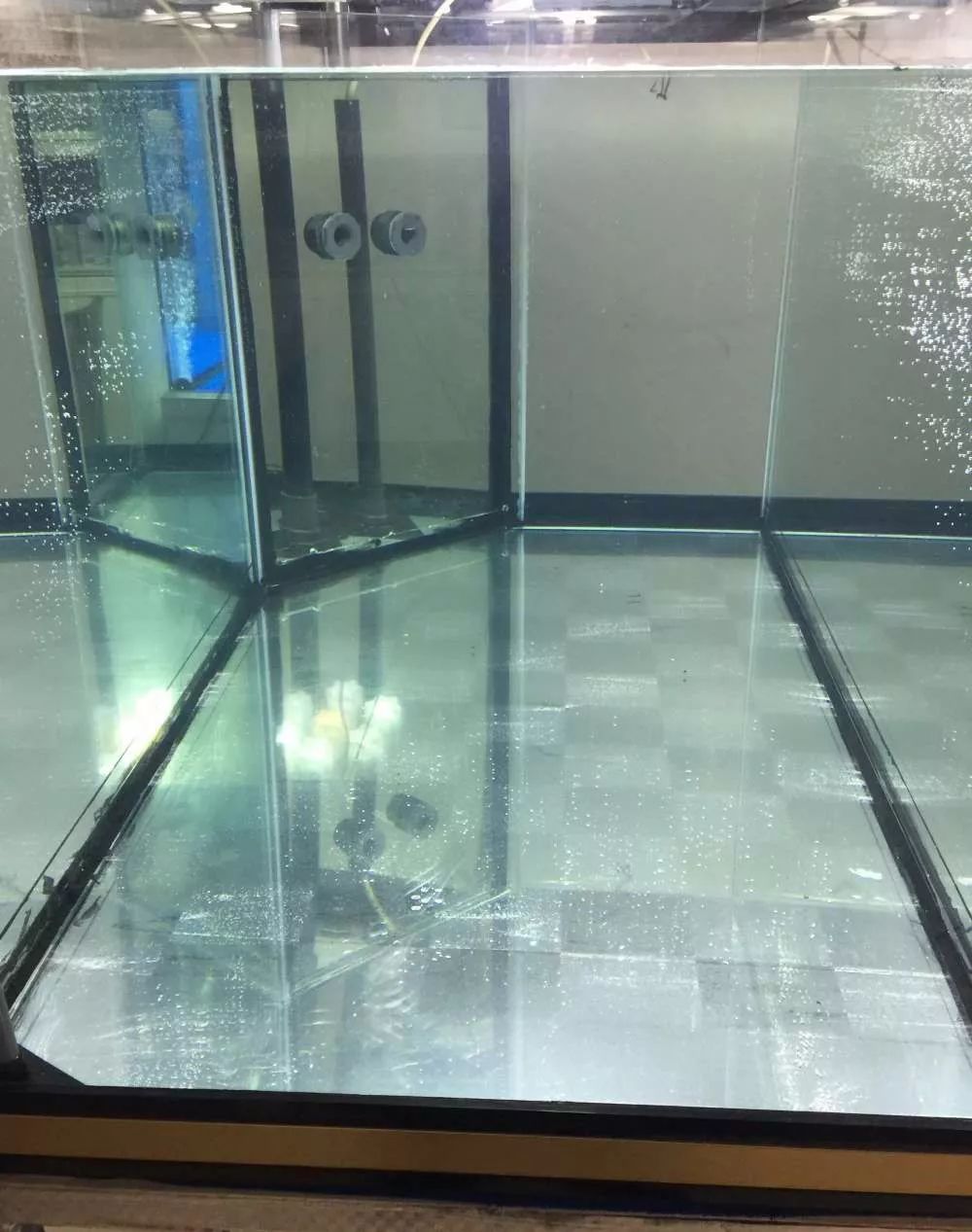 历时4个月，亲手做的缸终于运行！