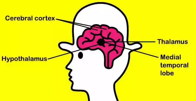 顺行性遗忘症是什么都不记得了吗,顺行性遗忘症是不是失忆症