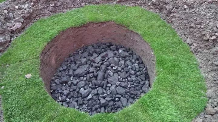 凤凰艺术,凤凰艺术是怎么来的