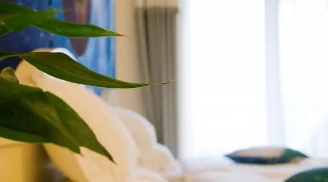 外资高端酒店,外资酒店的现状