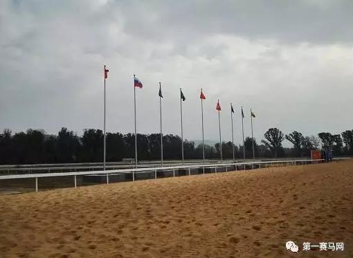 林晓彬：月底开放动物亲子乐园将引进夜间马术表演