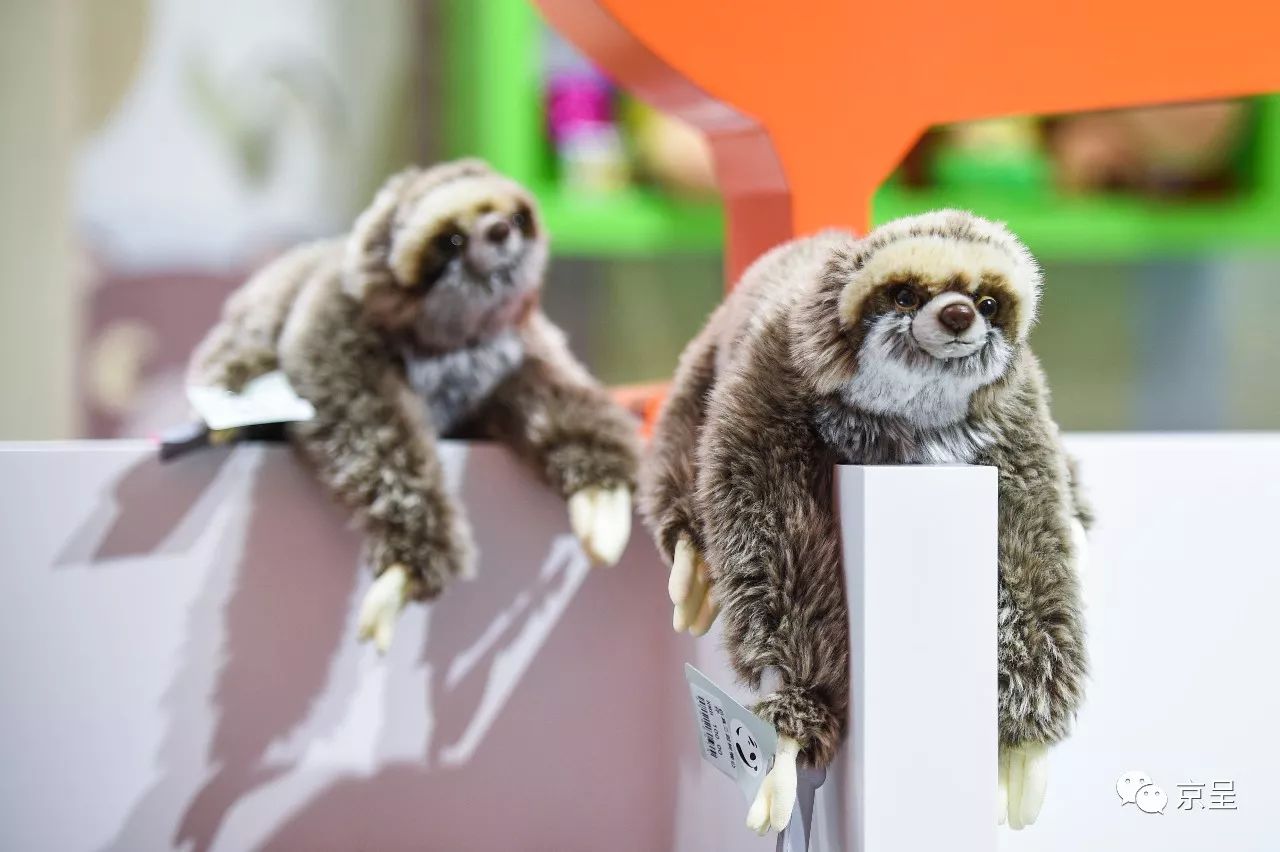 鹈鹕树懒食蚁兽？北京这家非主流玩偶店教你认认新萌物