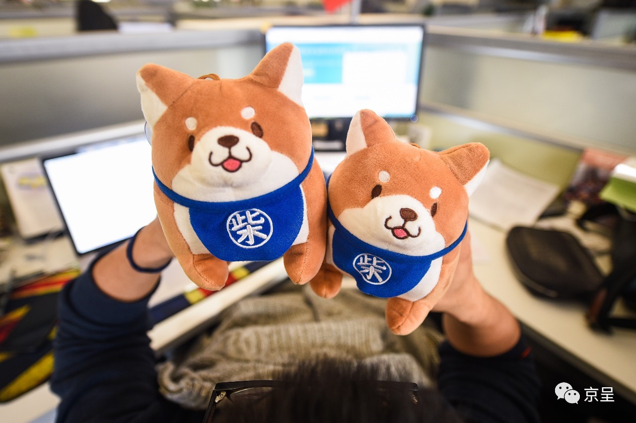 鹈鹕树懒食蚁兽？北京这家非主流玩偶店教你认认新萌物