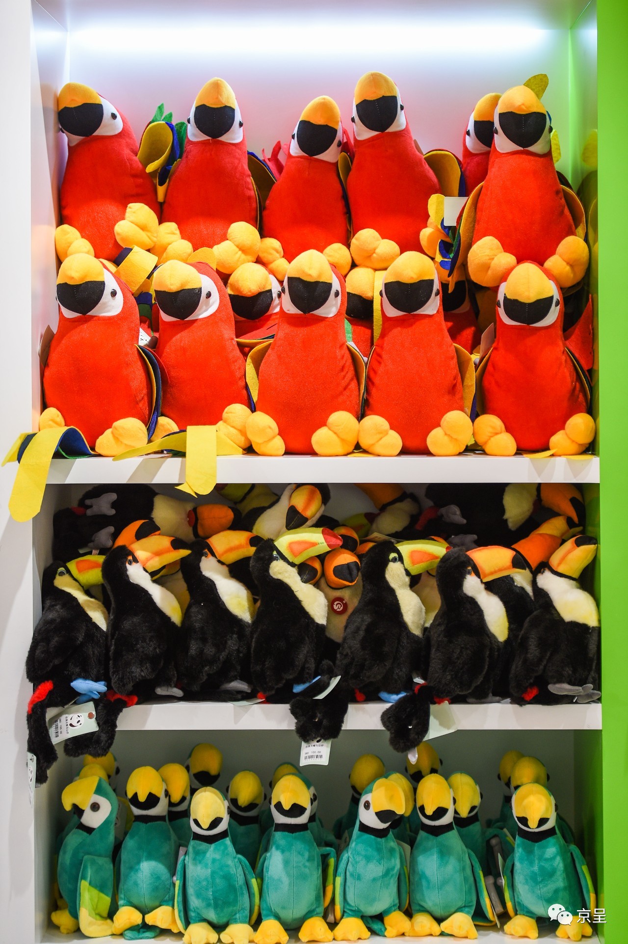 鹈鹕树懒食蚁兽?北京这家非主流玩偶店教你认认新萌物