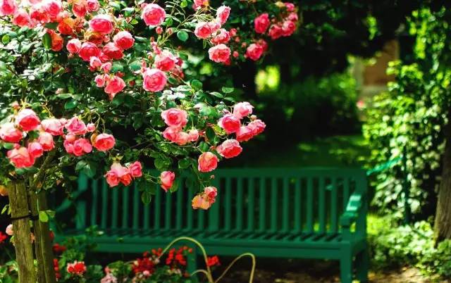 恋与制作人想和你在一起,恋与制作人在你身边值不值