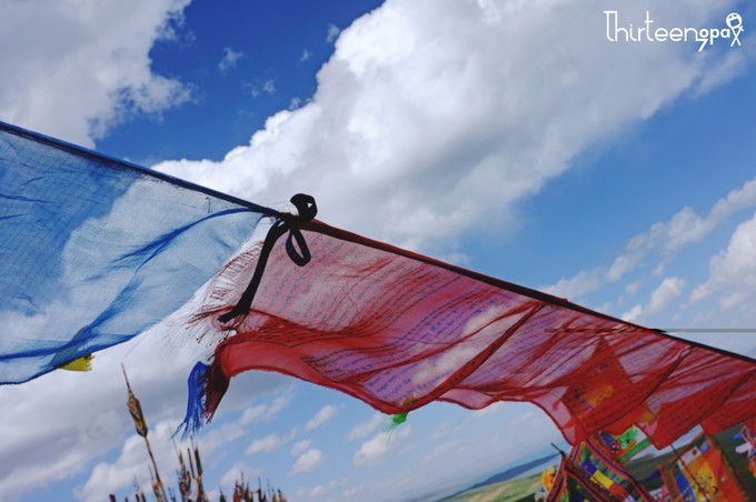 带着小三去旅行,带着小四去旅游