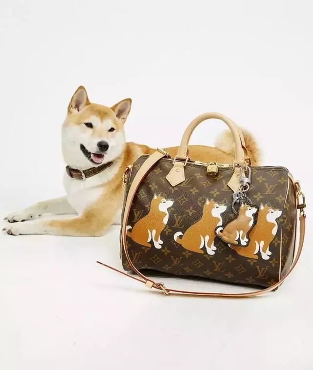 为啥两三百的lv仿的也挺真,狗年大牌限定款来袭