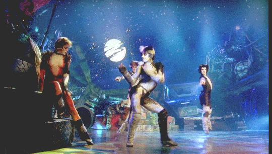 关于猫成精的那些事22,关于猫成精的那些事16