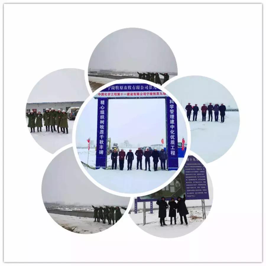 雪中美景雪景,雪中银装素裹美如画