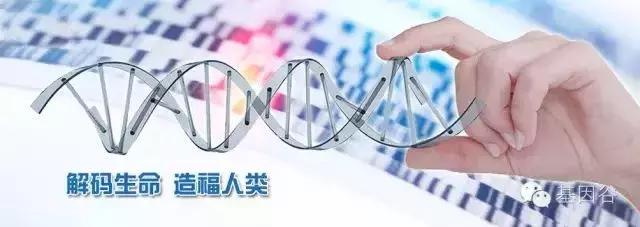 基因检测—从交友到生娃的遗传学应用