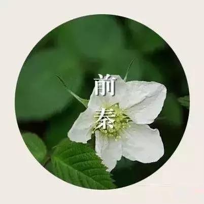 西安历经十三朝,西安经历的十三朝古都共计多少年