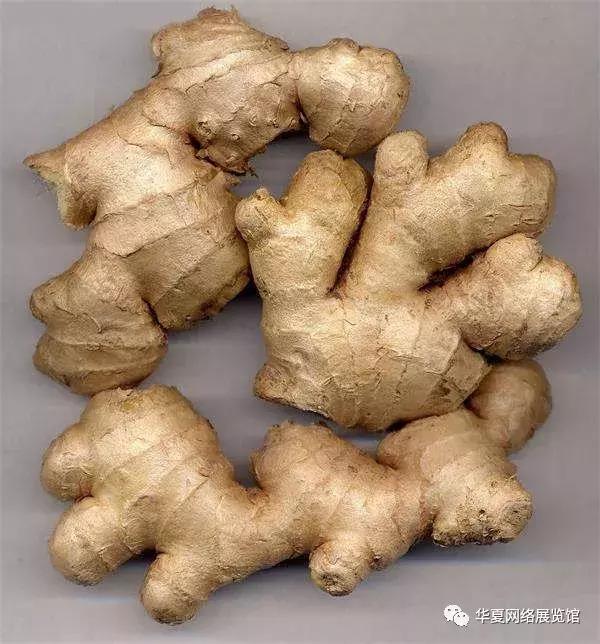 河南礼物：焦作的特产可不只山药，你来补充补充