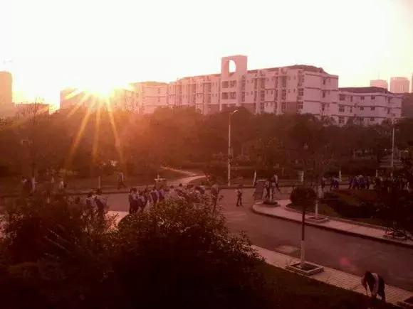 怀念莲塘一中,校园生活莲塘一中