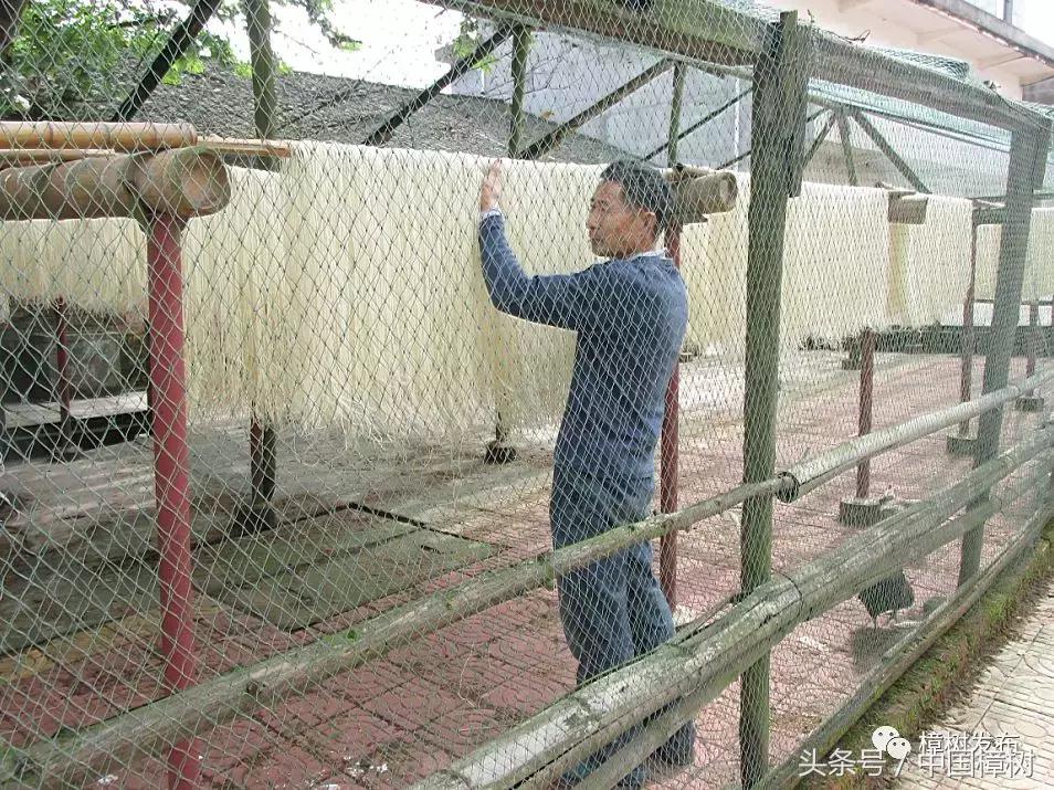 江西樟树炒米粉,樟树地道美食冻粉