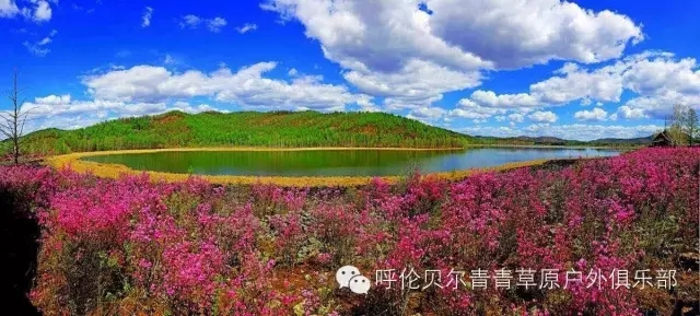 呼伦贝尔旅游自由行攻略,第一次呼伦贝尔自由行