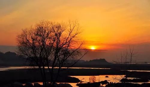 告诉你个小秘密：小考拉领结婚证啦（晚点遇见你，余生都是你）