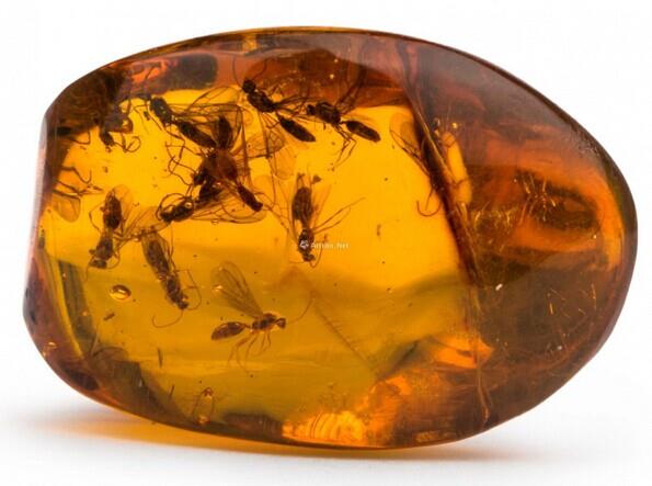 珠宝知识图片大全,有图有真相有依据