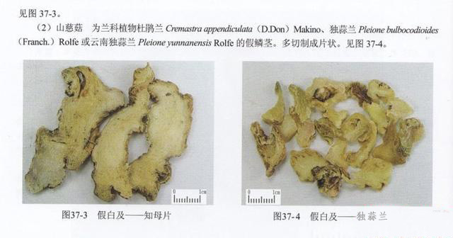 中药材造假猖獗，火眼金睛识别假中药