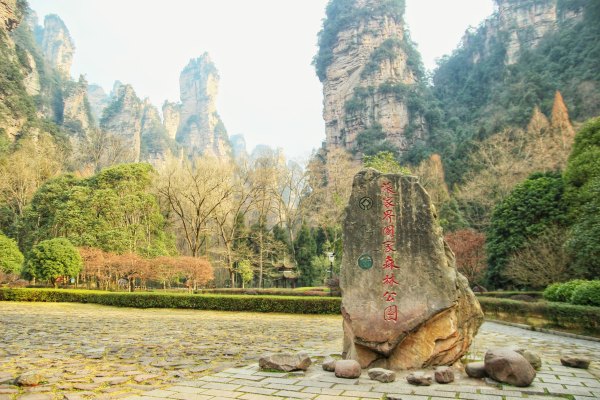 神奇美丽的张家界,张家界大自然仙境长视频