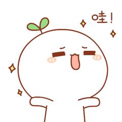 云南爆浆冰糖牛奶玉米,云南爆浆牛奶水果玉米