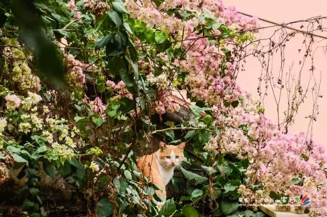 亲子出国海岛游推荐,马来西亚亲子海岛游推荐