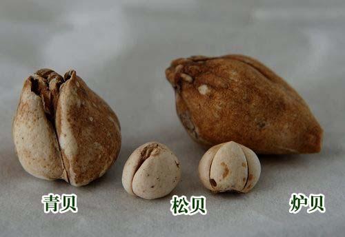 中药材造假猖獗，火眼金睛识别假中药