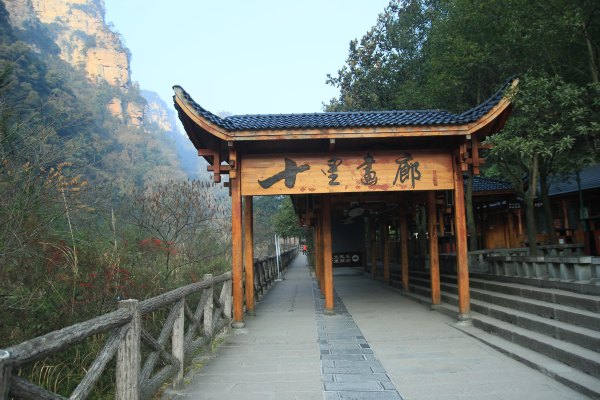 神奇美丽的张家界,张家界大自然仙境长视频