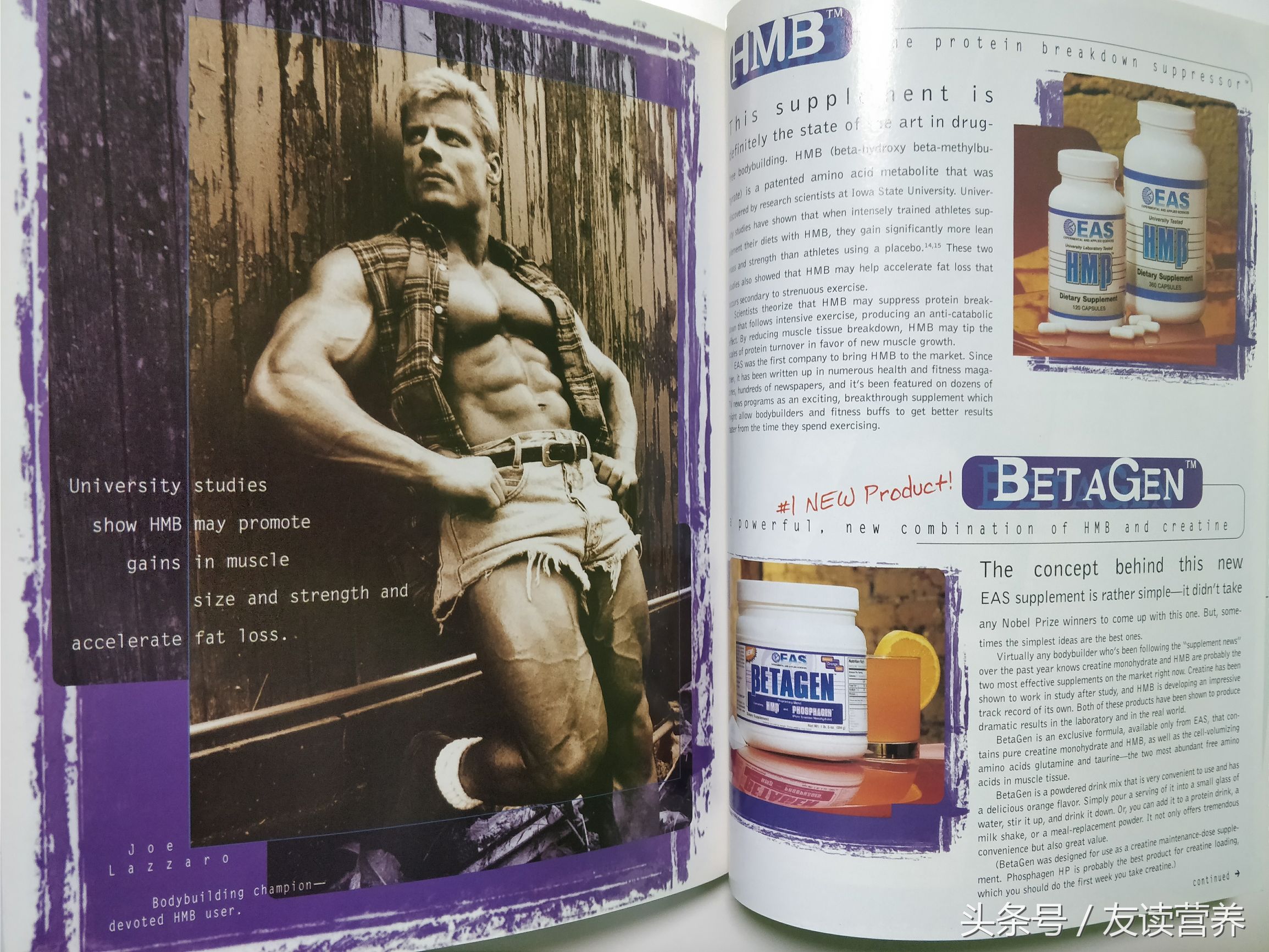 运动品牌你所不知道的事,运动营养补剂的选择与推荐