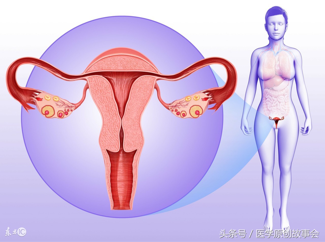 子宫切除后对身体有什么影响，还能进行*生活性**吗？