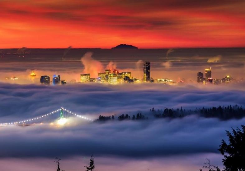 用小人的手段打击小人,用小人的办法对付伪君子