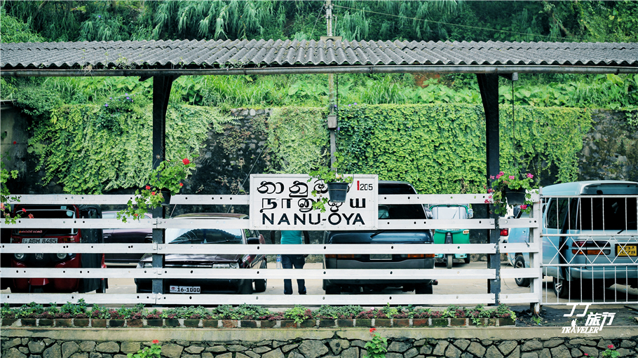在斯里兰卡的视频,斯里兰卡火车美景