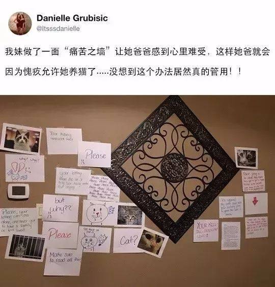 为什么家长不让孩子养宠物,宠物爸妈不让养怎么办