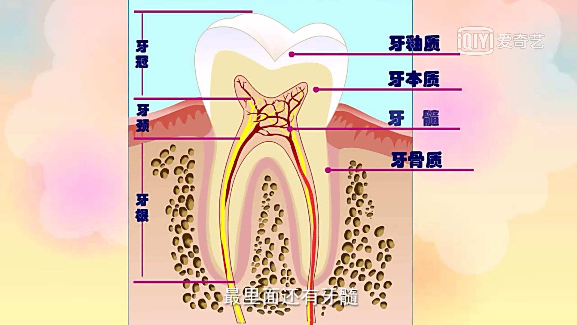 提醒大家一定注意保护牙齿,今年的深圳也开始冷了