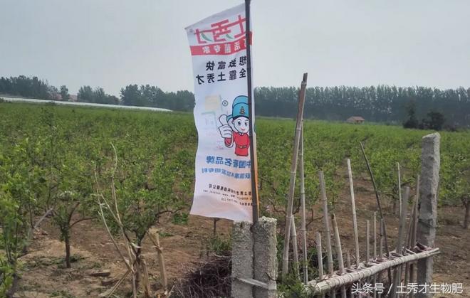 品牌故事第24集,品牌故事季季红完整版